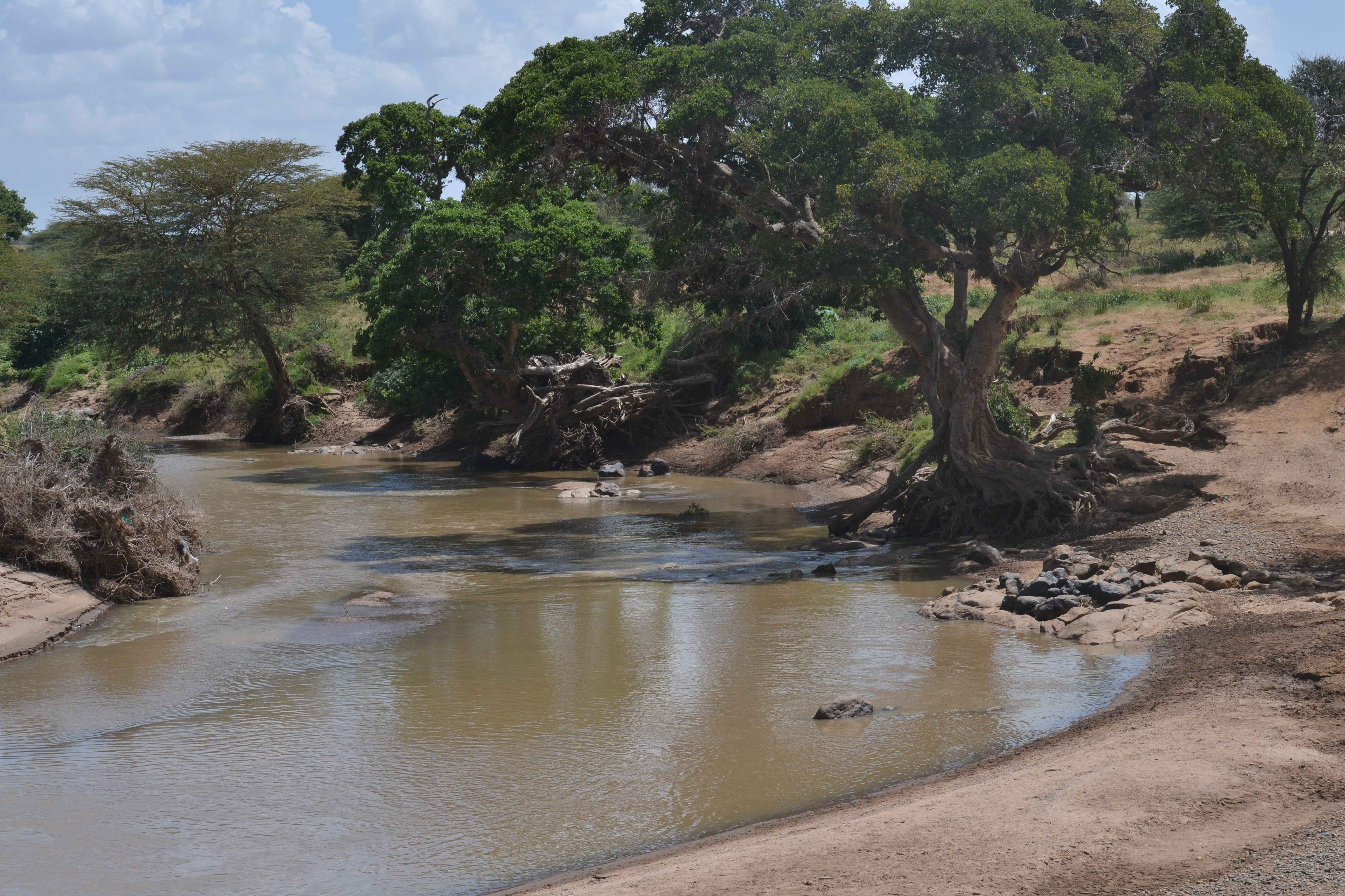 Ewaso Nyiro River